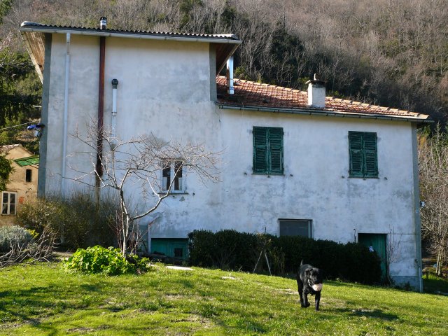 Vista della casa dal giardino